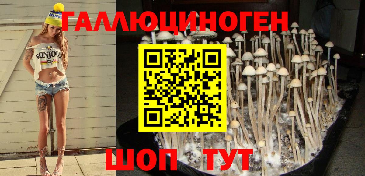 Псилоцибиновые грибы мицелий  Галлюциногенные грибы прущие грибы  Вольск  Вход с VPN 