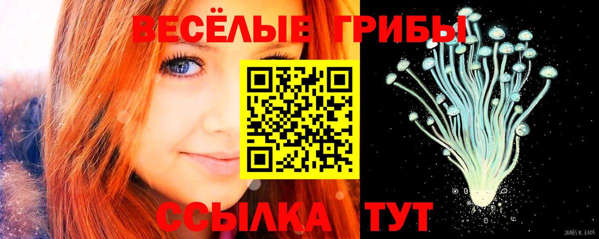 Галлюциногенные грибы GOLDEN TEACHER Вольск